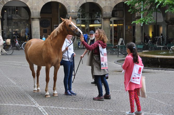Schülerinnen und Schüler der Waldschule Kinderhaus sammelten mit dem Freitagspferd „Daylight“ in Münster Spenden für die Arbeit der DAHW und der Gesellschaft für Leprakunde.