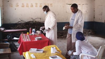 Laborarbeit unter einfachsten Bedingungen: Forschungsprojekt auf der Insel Ijinga in Tansania.