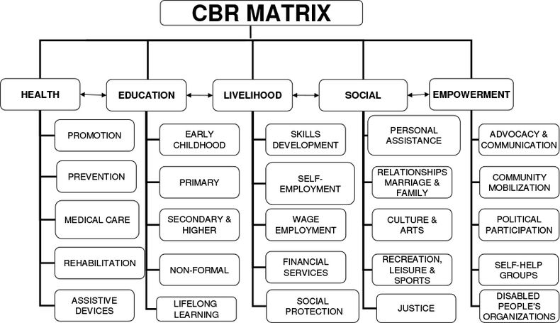 Die fünf Hauptsäulen der CBR-Matrix und der damit zusammenhängenden Interventionen.